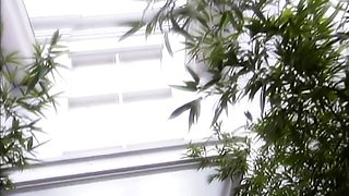 Ass Mania featuring Pietra Ferrari's shaved video