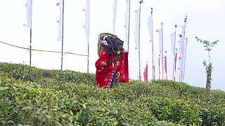 Stranger Help Tea Garden Girl.