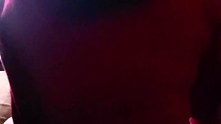 It was just going to be a quick visit from my sister-in-law kitty