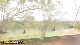 Hung White Tourist Pounds Real Black Babe Pussy in Safari Van - POV Rough Sex