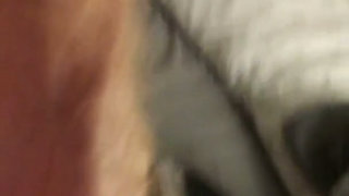 Close up Doggy Style. Wap!!