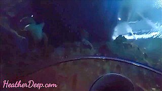 Thai 18-years-old Deep Throat Tharot Pie After See Shark Reef Aquariu