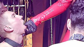 Strict Stepmom And Her 2 Newbie Sissies - Curvy Milf Arya Grander, Femdom Humiliation