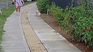 Pregnant Woman Has Quick Sex with Her Neighbor on the Stairs of Her Building - Savannah Watson