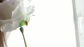 Roxy Bell: Young, Beautiful, a Total Porn Goddess