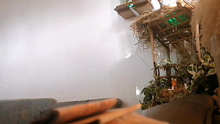 Housemaid Begs for Mercy for Stealing What Is Mine