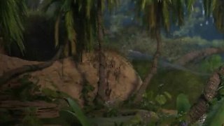 Treasure of Nadia - Ep 123 - Wild Fun in the Jungle by Misskitty2k