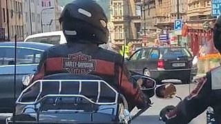 Suzanna stunning amateur blonde girl public masturbating