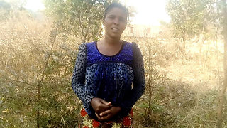 Forest in Bush