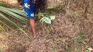 The Desire That Arose When I Went to the Forest to Bring Something to Cook.