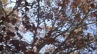 Young Black Woman with Nice Tits Fucked in the Woods by a Big Cock and Cumshot in Mouth