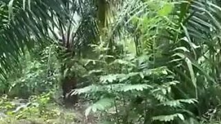 Thai Village Dame Screwing In Her Backyard
