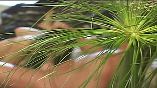 Asian love to fuck Stranger