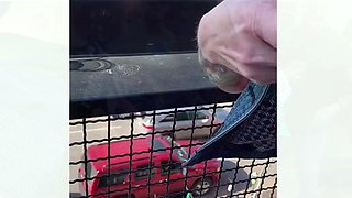 Amateur Blonde With BIG BOOBS Hot Free Cam Show