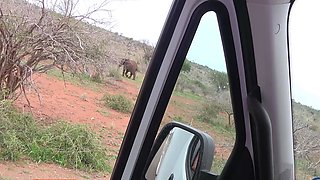 My EBONY GF got desperate on safari
