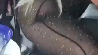 Blonde whore with a booty fit for a black fucking dick !Nann3 th023 1utz!: Porn