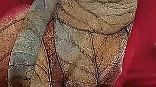 Fucking My Brother-in-law with Tablet - 2