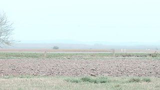 Sex story with hot babe Victoria Summers