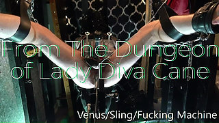 Electro Venus Cock Milking and Machine Fuck in the Leather Sling