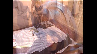 Sexy big boobs blonde pussy licking anal penetrated