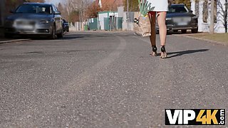 VIP4K. Silver Linings Playboy