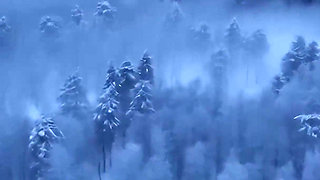 Warm Lights, Cold Snow, Broken Ass.