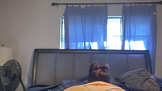 Amateur chick with fat ass is punished with rough anal