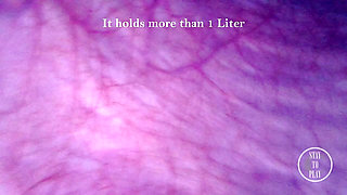 Look inside my Bladder as I push a Torch up my Ass