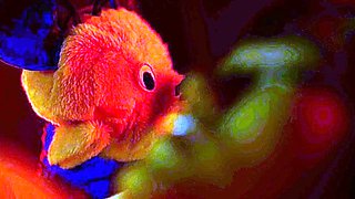 Japanese Teen In Uniform Banged Sideways