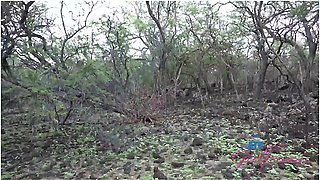 Alexia Anders On Vacation Sucking Cock In The Car And Taking A Piss In Public Pov