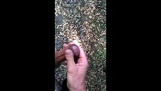 Hand Relief in the Park