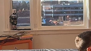 Sextape - Lovers Enjoying Sensual Sunset Together