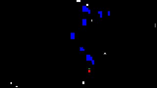 Polvazo salvaje en la piscina