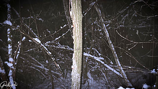 Naughty Snow Vlog: Raclette & Doggy Style