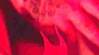 Candy Kush Distracted Her Husband and Dragged Me to the Bathroom During a Party for a Quick Fuck