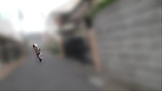 どえむっるのであろうああしえにあてこうなったのでろうか