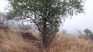 Spanish babe Nuria Millan tied up and punished for piss play in public olive grove