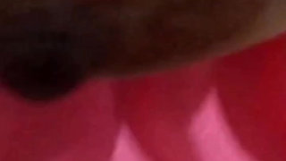 Janda pink