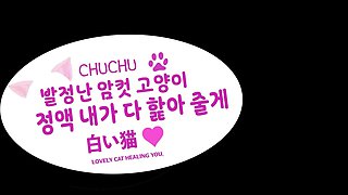 Hot K-pop Idol virgin pussy