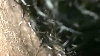 Pussy Licking Eating My Hot Wifes Pussy Untill It Becomes so Wet