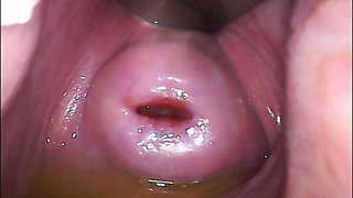 Extreme Close-up Pussy Cam