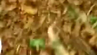 Big Tits in the Woods