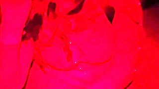 Fucked by a Herd in the Dark