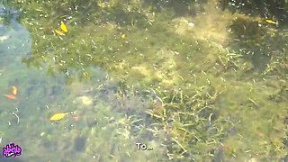 Amateur Latina Abella Olsen Gets Risky Outdoor Sex on Secret Island - Big Cock Cream Pie on Boat POV