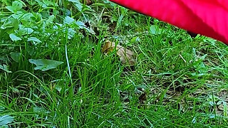 Pissing Compilation. Golden Rain. Femdom Piss. Shaving Pussy. Ep 10303