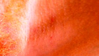 Blowjob Close Up No Hands Cumshot