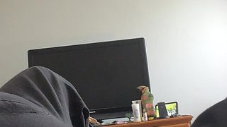 Foreplay and Solo with the Modern Slut