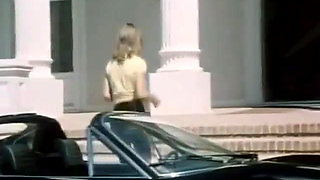 Classic Porn Dvd: Marilyn Chambers Insatiable P