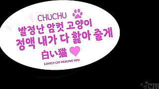 Kpop idol movie with beautiful tomato from K MIB