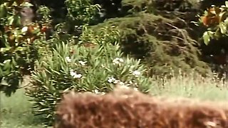 Two Beautiful Sexy Milfs With Hairy Pussy Fucked In Ass And Cummed In Mouth By Huge Vintage Cock - Jade East And Peter North